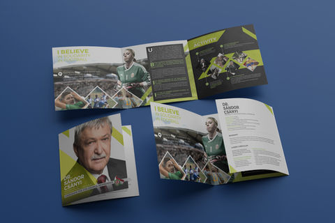 Dr Csányi Sándor,, personal portfolio for UEFA EXECUTIVE COMMITTEE