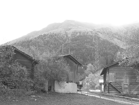 Gesamt-2.jpg