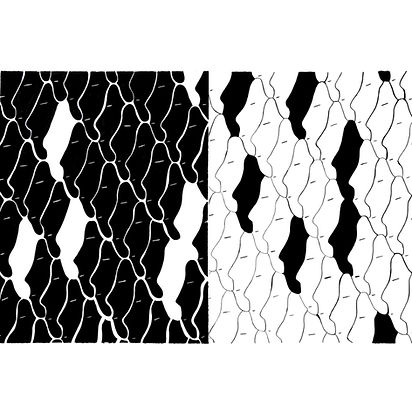 Profile (double)forTAS.jpg