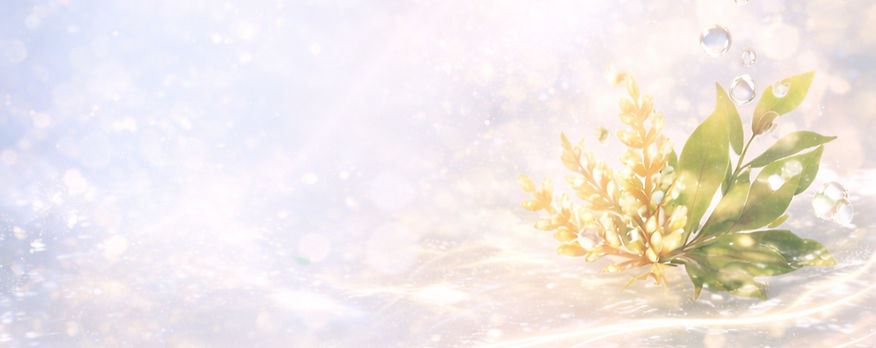 亮膚蜜_edited.jpg