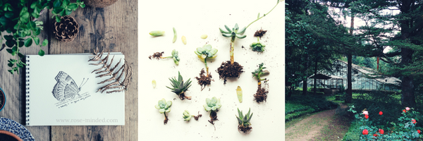 naturalistic intelligence