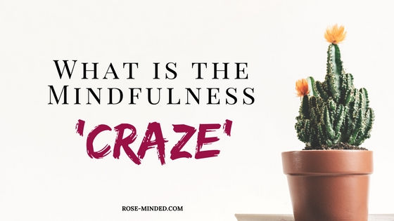 Mindfulness is the basic human ability to be fully present, aware of where we are and what we’re doing, and not overly reactive or overwhelmed by what’s going on around us