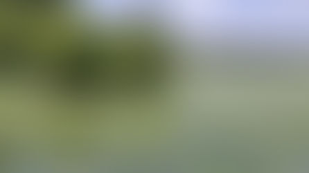 Lago di Chiusi: conferenza pubblica sullo stato di avanzamento degli interventi