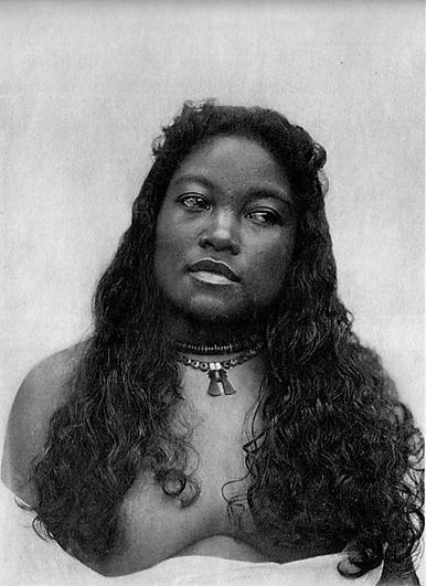 Eto 4 - Kraemer1938_plate01R.jpg