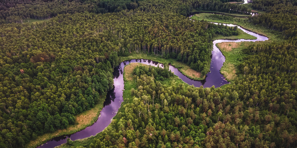 amazon river