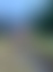 2026 Georgia Bucket List