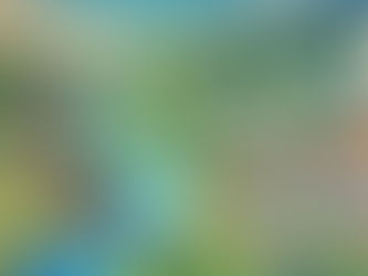 What do you think Destination Developers do?