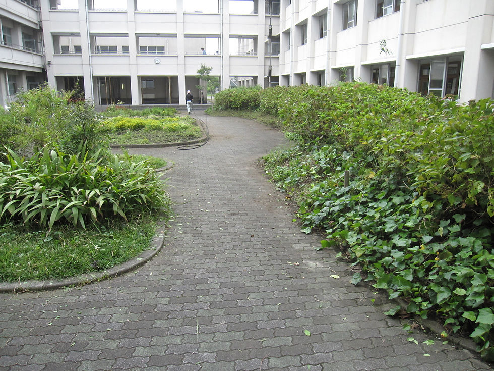 IMG_0419.JPG