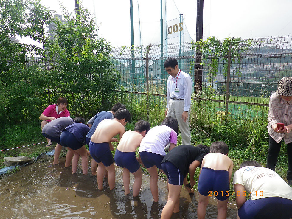 田植え指導②