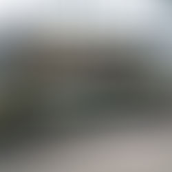 Complete Guide to Woodworking Glues for Beginners