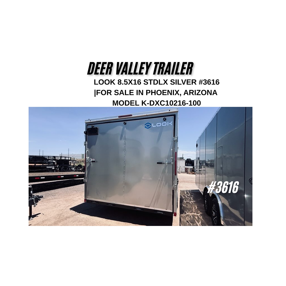 LOOK 8.5X16 STDLX SILVER RAMP REAR DOOR VIEW