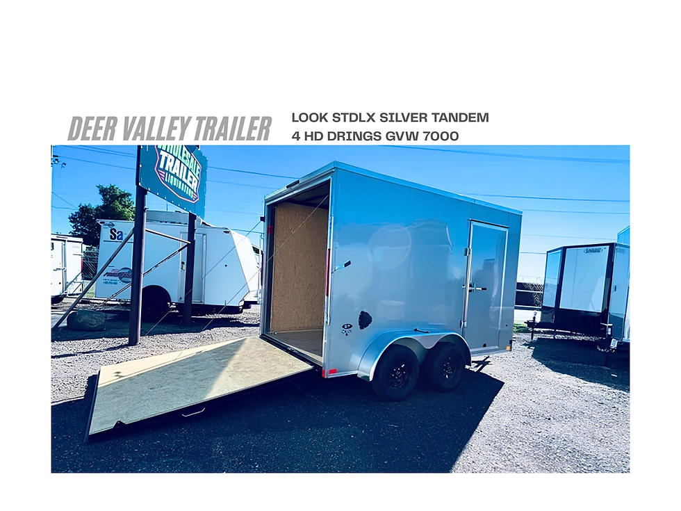 7X12 TANDEM STDLX LOOK 4 DRINGS SILVER RAMPVIEW
