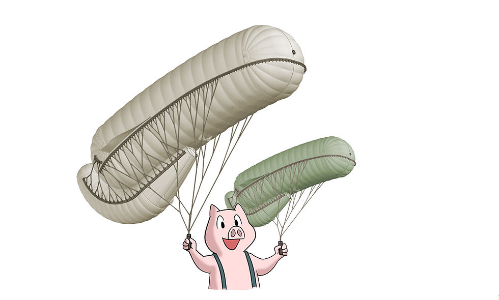 Thumbnail: 144-003  Parseval-Sigsfeld "Drachen" observaion balloon