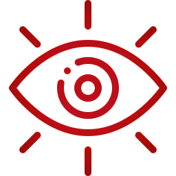 ic_vision.webp