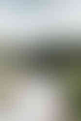 bride/and/groom/first/look