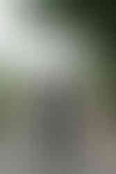 north/carolina/summer/wedding