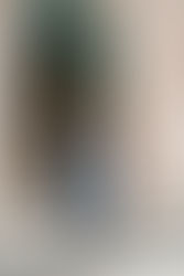 raleigh/high/school/senior/photos/at/unc/chapel/hill/bell/tower