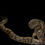 Thumbnail: 1.0 Green Anaconda