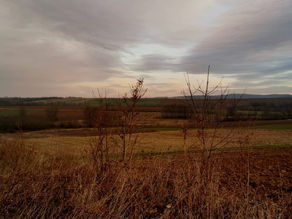 Be where your feet are. A year for seeking stillness and letting go.