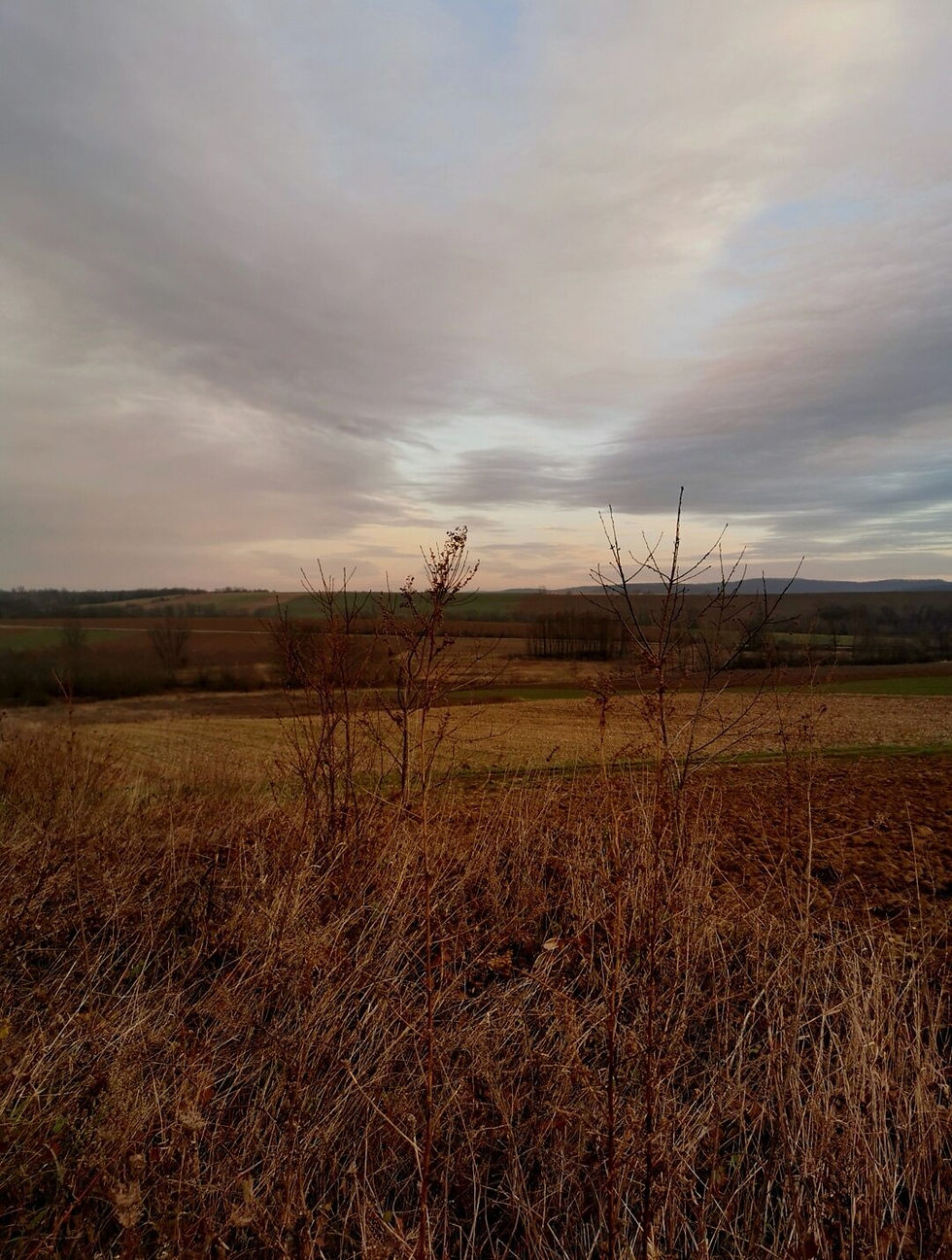 Autumnal landscape