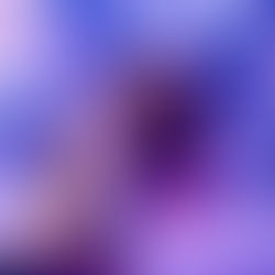 Mehrnam Rastegari, one of New York City’s best-kept musical secrets