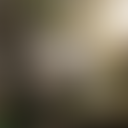 Por Qué The Sound Cafe Ahora Es un Diario: Y Por Qué Eso Importa