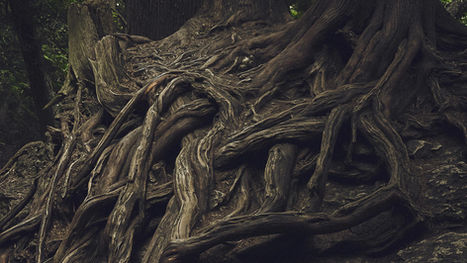 The Blues: The Sound That Refused to Disappear