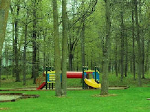 Critique d'Album : Newcastle Park par Woods Of Light