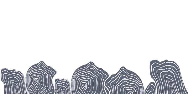 wave2.png