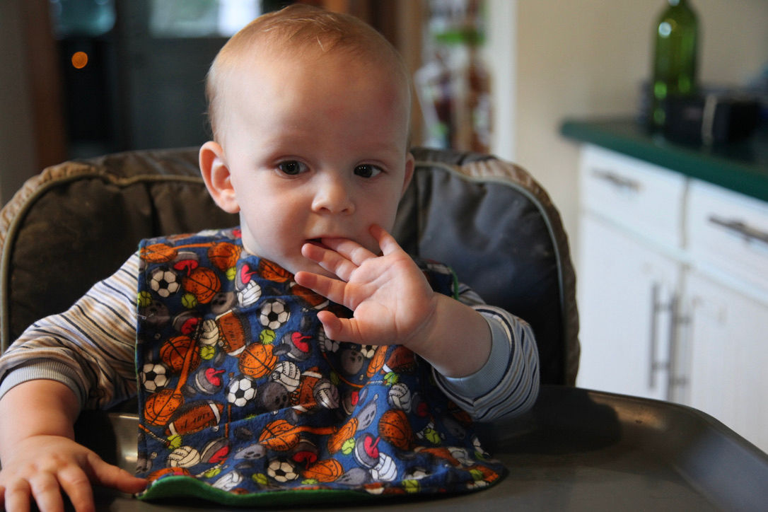 Large Baby Bib