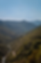 AdobeStock-218366689-v12 1.png