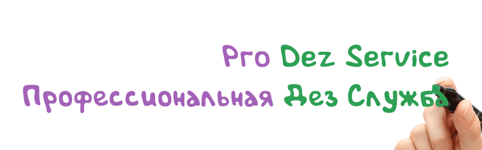 Услуги по уничтожению насекомых