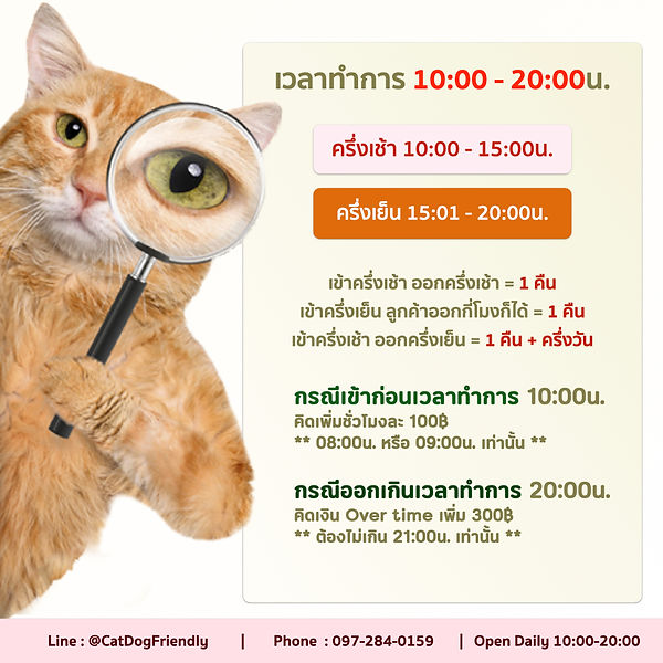 รายละเอียด CDF.023.jpeg