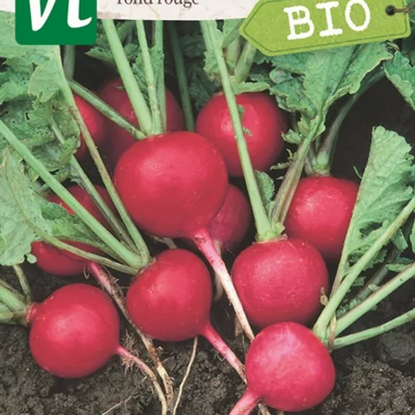 Een nieuwe lente, een nieuw moestuinseizoen
