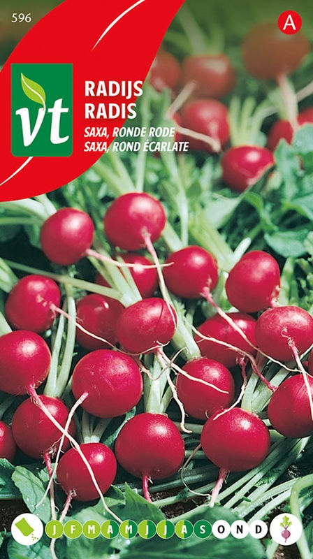 Radijs Saxa, ronde rode