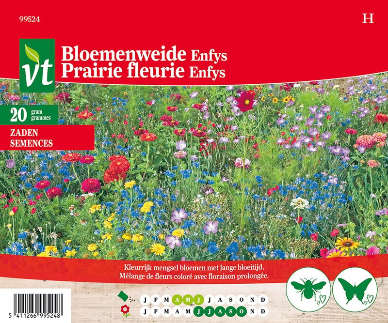Bloemenweide enfys zaadset