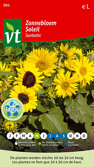 Zonnebloem Suntastic