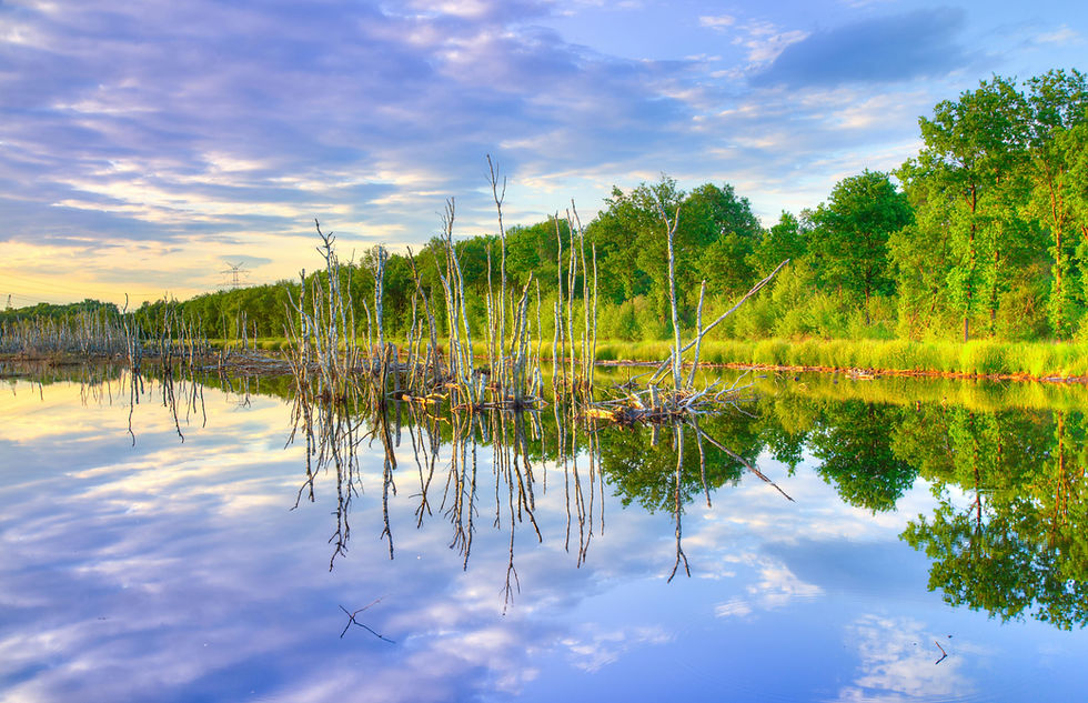 Summer in Alexandria, VA: A Few of Our Favorite Local Things to Do