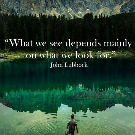 What we see depends mainly on what we look for.