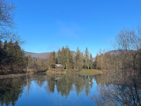 La connaissance de soi pour devenir robuste : l'antidote à l'instabilité professionnelle