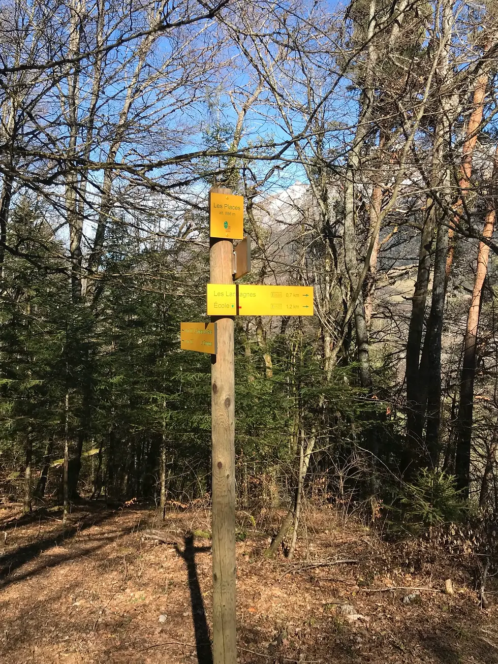 Carrefour de chemins en nature symbolisant les choix d'orientation scolaire en Terminale et la méthode Art de l'Itinérance pour accompagner les lycéens à Annecy