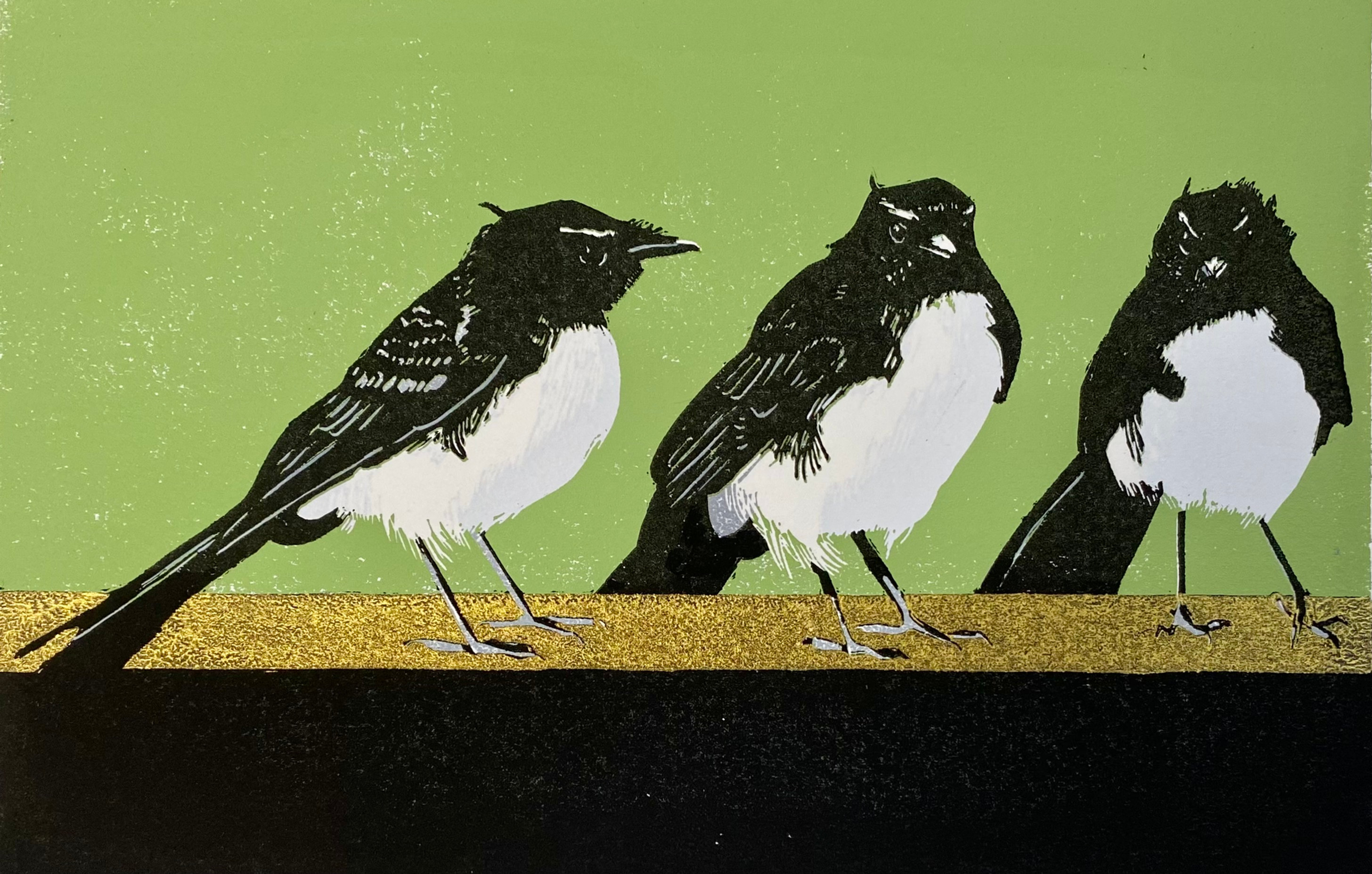 Willy Wagtail Meeting