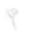 fleur de lotus dessinée à la main