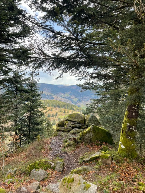 Sentier forestier dans les vosges bordé de rochers moussus, ouvrant sur une vallée et des montagnes sous un ciel clair.
