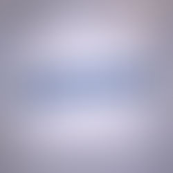 A Night in Euphoria (2022) | Event Organizer & Host