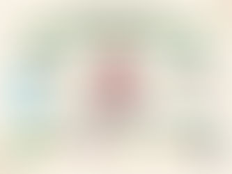 Recomendaciones para el bienestar digestivo