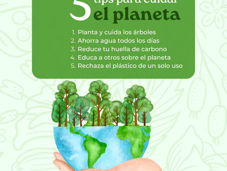 5 tips para cuidar el planeta 🌍💚
