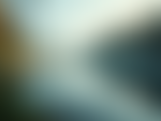 The Importance of Mindfulness in Everyday Life