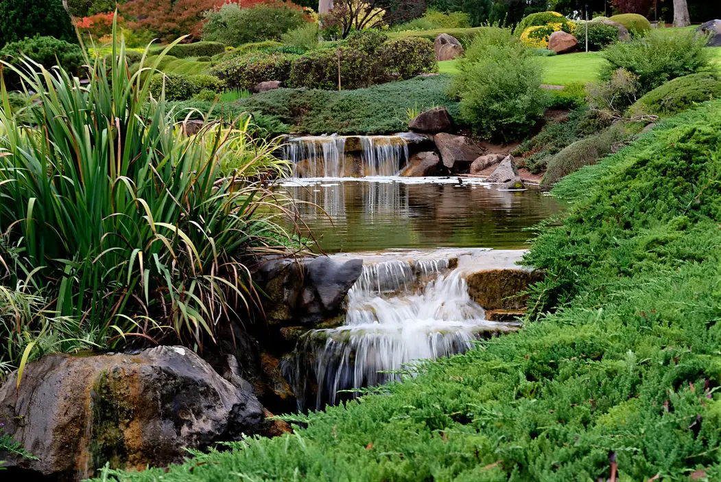 Townsville Photographer at the Cowra Japanese Gardens
