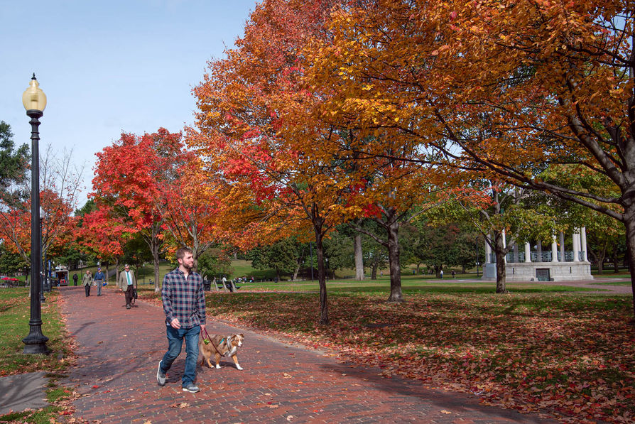 Photography Escapades